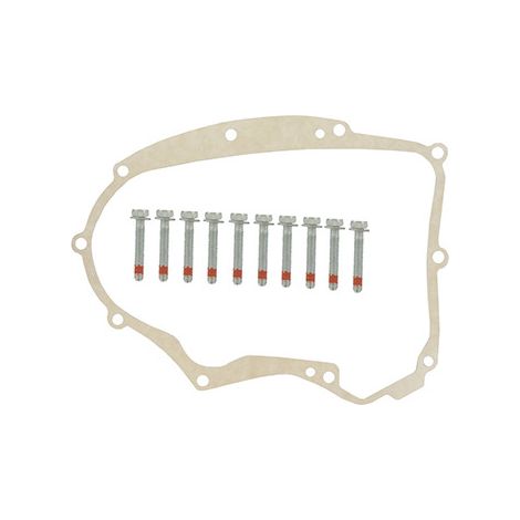 Joint de carter BRIGGS ET STRATTON 594195