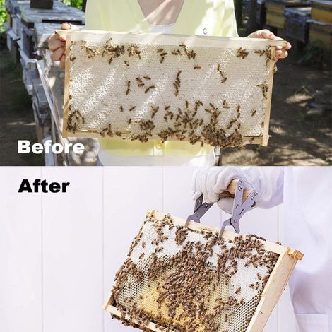 Bienenstockrahmenklemme – 1 Stück, Bienenstockrahmenklemme 13 x 9,5 x 5 cm – Imkerzubehör (1/5)