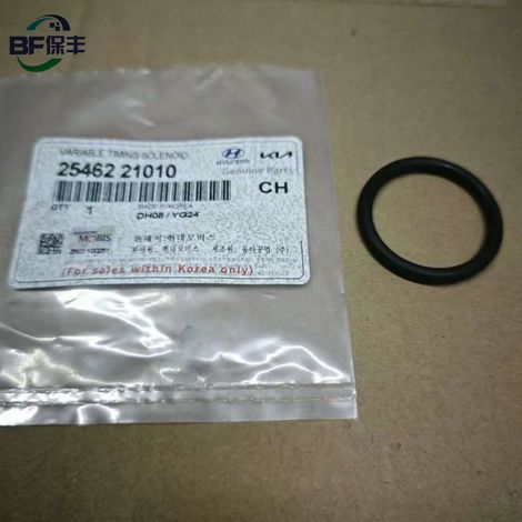 2546221010 Anwendbar auf moderne Automobilteile: Motorthermostat, Wasserschlauch-O-Ring 25462-21010 (1/5)