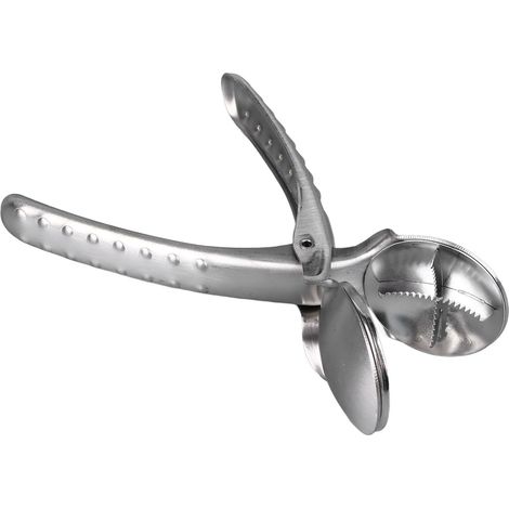 Ouvre-châtaignes portable en acier inoxydable 304, casse-noix tranchant, outil de coupe-châtaignes, pince à châtaignes pour la maison, les voyages et le bureau (1/5)