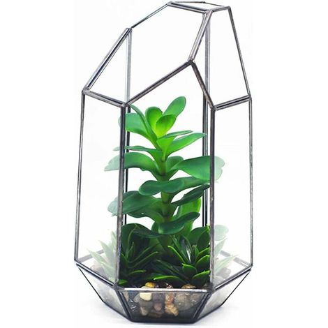 VURAHOME - 5.5in Verre Géométrique Terrarium Irrégulier Géométrique En Verre Clair Planteur Succulent Titulaire Pot De Fleur Air Plantes Titulaire Fenêtre (Pas De Plantes) (1/5)