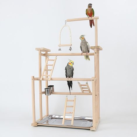 1 Aire de jeux pour oiseaux, Bois naturel, Avec échelle et balançoire, Perchoir lisse, Pour perruches et perroquets
