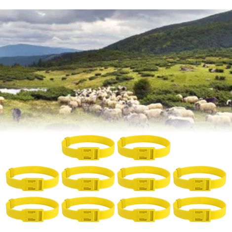10 colliers de cou pour moutons à vendre, à code couleur, avec protections pour les pieds et en caoutchouc, 59 cm jaune. (1/5)