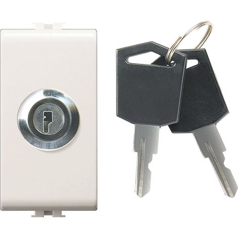 Interruttore Unip. Chiave Unificata Easy 10A ( ELETTROCANALI cod. ECSE8050U )