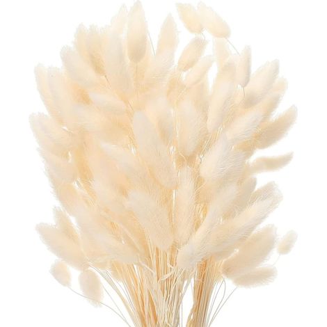 Herbe De Pampa - 50 Pièces Séchées Naturellement - Hauteur Environ 40 Cm - Décoration Intérieure Extérieure Bohème Pour Mariage Maison Fête - Lot Complet (1/5)