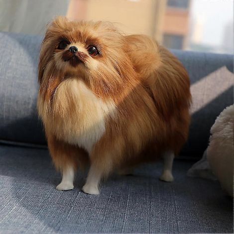 Accessoire photo mignon de chien Poméranien simulé (2025) - Décoration de bureau, voiture ou maison - Jouet cadeau (1/2)