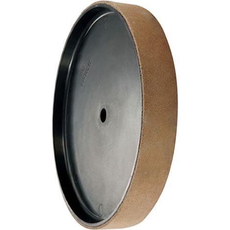 Disque de démorfilage diam. 200x30x12 mm pour affûteuse NTS201 Holzkraft 5760100