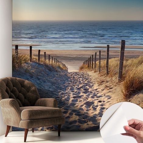 Fotomurale adesivo - Carta da parati adesiva - per la cucina camera da letto per la soggiorno - Sentiero sulla spiaggia 250x250 cm (1/5)