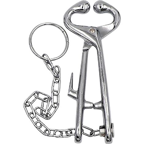 Pince à Lèvres Bovines pour Ranch Acier Inoxydable - Pince Bovine Accessoire Jardin & Équipement Ferme pour Débutants en Élevage (1/5)