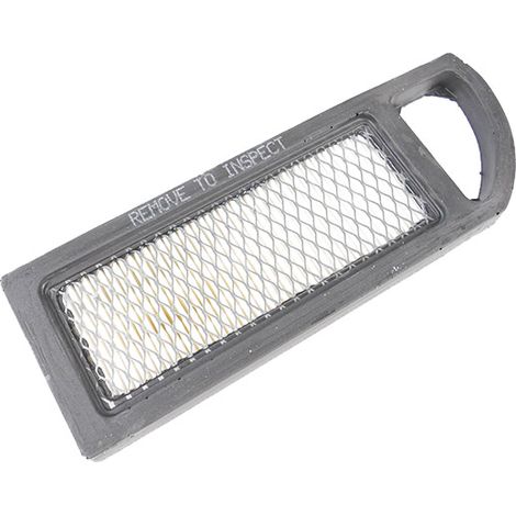 Filtre à air moteur Briggs et Stratton Intek 794422 Origine