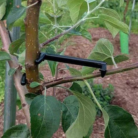 Supports de branches réglables en plastique durable pour plantes, accessoires de jardinage, lot de 20 (1/4)