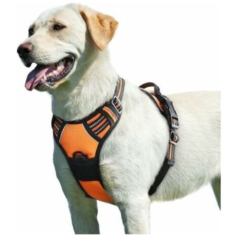 Arancione, imbracatura per cani, imbracatura per cani regolabile riflettente senza tensione con maniglia di controllo, traspirante, resistente, imbracatura per cani di taglia media e grande,XL FLITI
