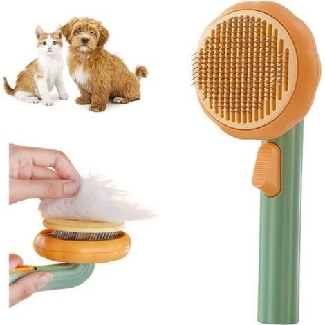 Brosse Chats Chiens, Brosses de Toilettage pour Chat et Chien, Citrouille Autonettoyante Brosse pour Animal de Compagnie (Green) (1/4)