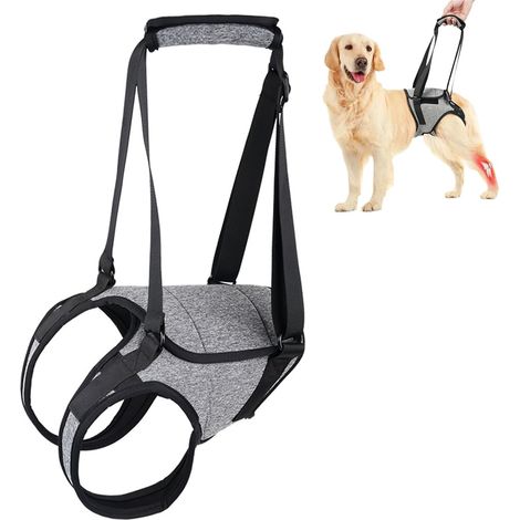 Harnais de levage pour chien – taille XL soutien arrière – poignée de portage réglable – soulage douleur et chirurgie – pour chiens 26-40 kg (1/5)