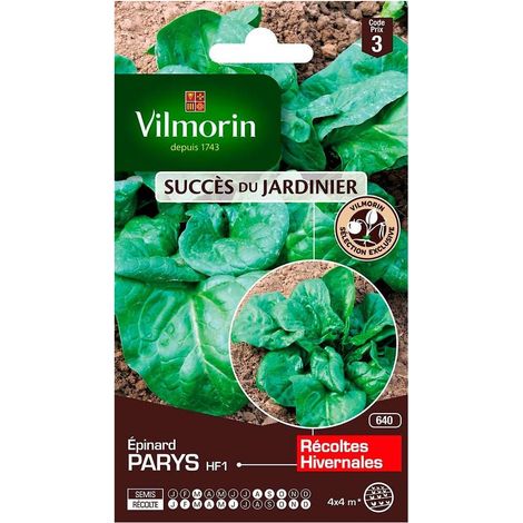 Sachet de graines Epinard Parys HF1 - Création vilmorin