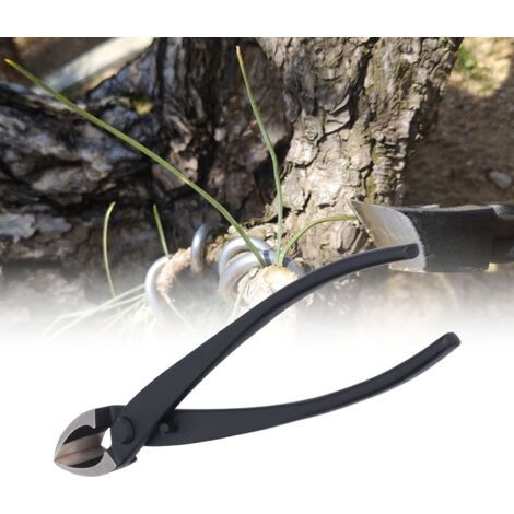 Ciseaux de Jardinage Professionnels pour Bonsaï, Taille-Branche Incliné 210mm -