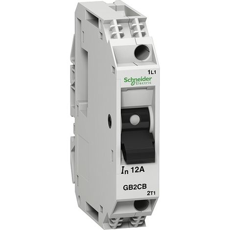 Disyuntor para circuitos de comando 1P de Schneider  2A