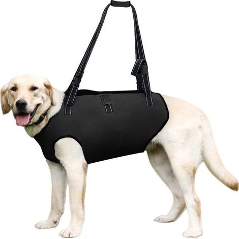 Harnais de levage pour chien noir, taille M, soutien et rééducation pour animaux de compagnie, sangles rembourrées, respirantes et réglables pour chiens âgés, handicapés ou souffrant de blessures arti (1/5)