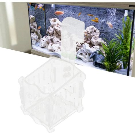 Coupe de Culture pour Plantes Aquatiques Suspension - Petite Taille pour Aquarium Décoration Paysagère (1/5)
