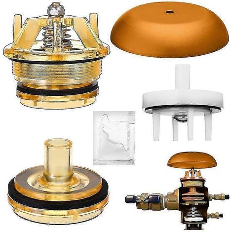 Kit de réparation de couvercle et de tiroir de soupape 905-212 compatible avec les clapets anti-retour de type 765 de 1 pouce et de 1/14 pouce. Haute qualité. (1/5)