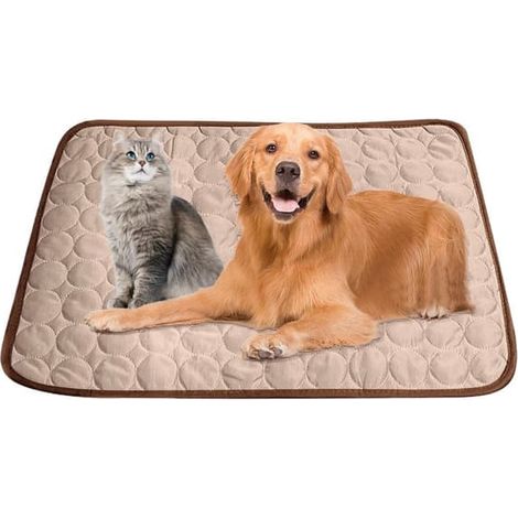 Tapis rafraîchissant pour chien et chat, tapis auto-rafraîchissant pour animaux de compagnie pour l'été, coussin rafraîchissant réutilisable qui aide à lutter contre la surchauffe et procure du confor (1/5)