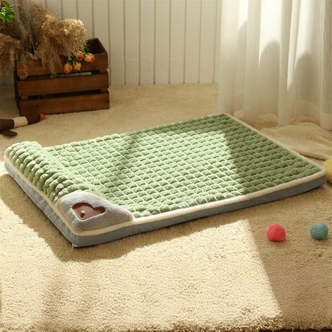Green Medium Washable Pet Bed Soft Mattress 60cm(W) x 40cm(D) x 8cm(H) (1/5)