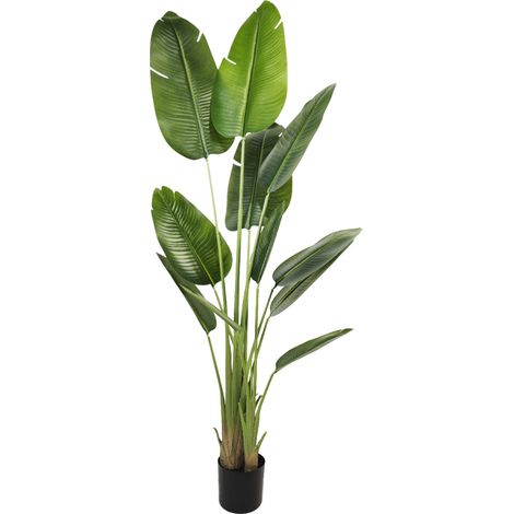 Pianta artificiale di Ravenala, alta 180 cm, realizzata in PVC, albero ornamentale in vaso per interni ed esterni, con fogliame tropicale realistico (1/5)