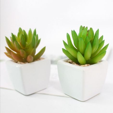 Plantes succulentes artificielles - - 6 PCS - Plastique - Intérieur - Décoratif (1/5)