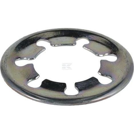 Lock Washer AGCO X536716000000
