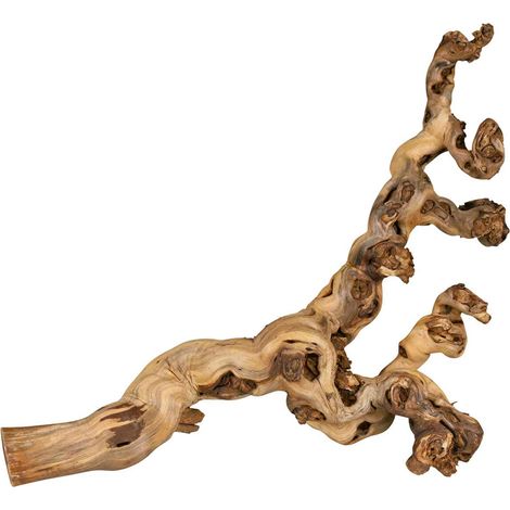 Trixie Decorazione Vite Naturale 55-80 cm per Terrario