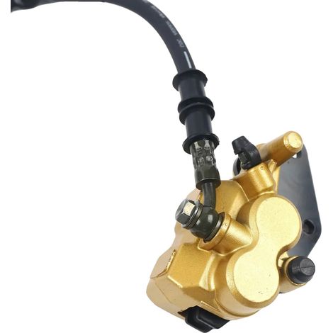 Kit de disque de frein, matériau en fer et en acier, compatibilité 49-125cc, conception hydraulique, puissance de freinage améliorée, dimensions compactes (1/5)