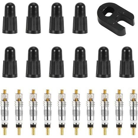 Kit de réparation de noyau de valve Presta, avec 10 noyaux tubeless en laiton de remplacement pour vélo, avec outil de retrait de noyau de valve, pour pneus tubeless de route et de VTT (1/5)