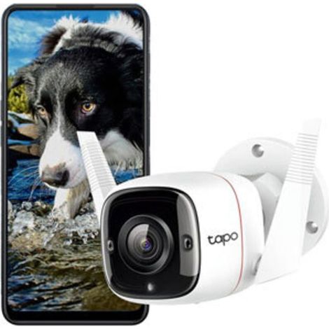 Caméra de surveillance TAPO C310 N/A N/A 2304 x 1296 pixels (1/3)