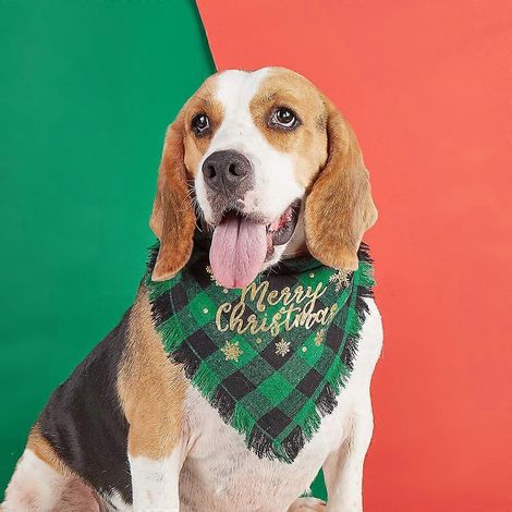 Serviette triangulaire verte de Noël pour chien (55 x 38 x 38 cm) (1/4)