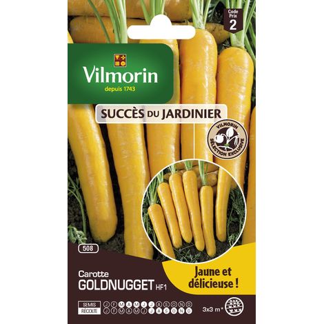 Sachets graines carottes Goldnugget HF1 (1/2)