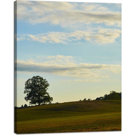 Stampa su tela Natura Albero in un campo 40x50 cm Cielo Prato Nuvole