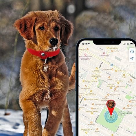 Collier Pour Chien Airtag Pour Apple Bandes Anti-Perte Réglables Pour La Peau Pour Petits Et Moyens Animaux De Compagnie - Rose (1/5)