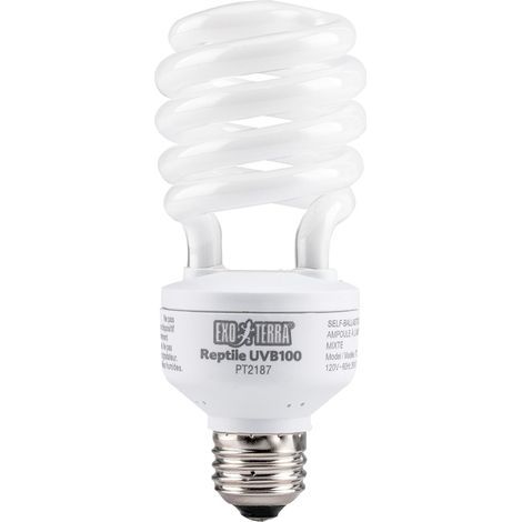 Reptiglo 5.0 Kompaktleuchtstofflampe 25W UVB-Strahlen für Reptilien und Amphibien in tropischen Lebensräumen (1/4)