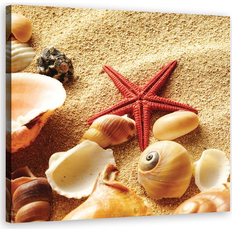 Tableau sur toile Coquillages plage sable 50x50 (1/5)