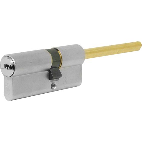Iseo CILINDRO R6 PLUS CON CODOLO Art. 82R66 mm. 65 (30-35)
