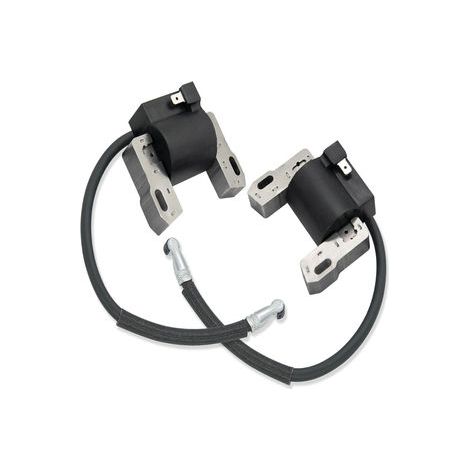 S-giant Bobine d'Allumage Haute Tension Compatible avec Références 592846, 691060, 799651, 499447 (1/5)