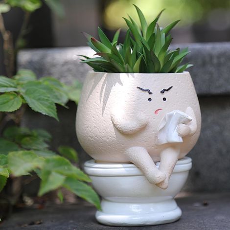 Fun toilet-shaped flower pot, suitable for indoor plants cute self-watering flower pot, suitable for succulents unique head-shaped flower pot, a great birthday and Christmas gift choice. (1/4)