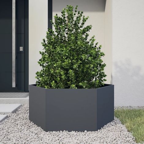 Maison Exclusive - Fioriera da Giardino Antracite Esagono 104x90x45 cm in Acciaio