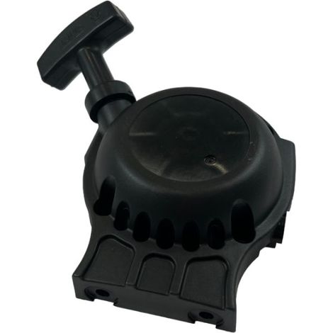 Lanceur taille haies sur perche Echo HCA265ES (1/3)