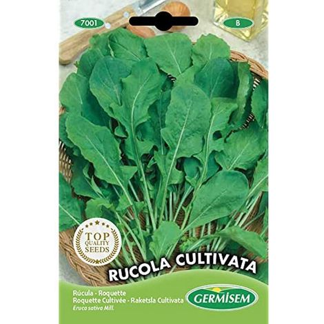 graines Roquette Cultivée (1/2)