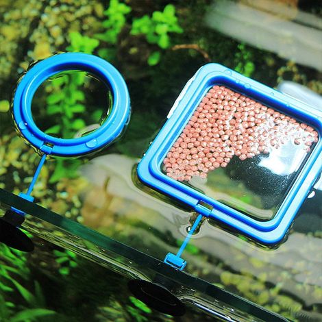 Anneau De Distribution Alimentaire Pour Aquarium - ABS Flottant Avec Ventouse Et Tige Rotative - Pour Poissons Rouges Et Guppys - 2 Pièces (1/5)