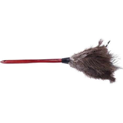 1 Plumeau, plumes d'autruche naturelles, manche en bois 20cm, pour meubles et pales de ventilateur (1/5)