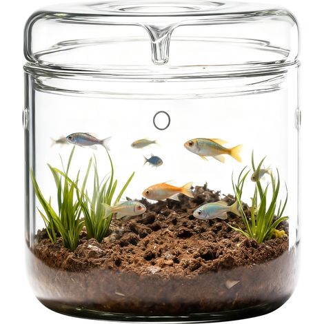Mini terrarium en verre pour plantes - 12 x 17,5 cm - Avec couvercle - Plante aérienne succulente - Micro paysage - Pour bureau, décoration de table, intérieur (1/5)