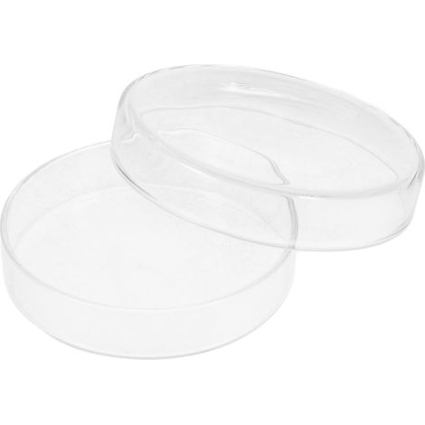 Boîte de Pétri Verre Borosilicaté Résistante pour Culture Tissulaire et Laboratoire Plat Polyvalent pour Préparation Échantillons et Culture Cellulaire (1/5)