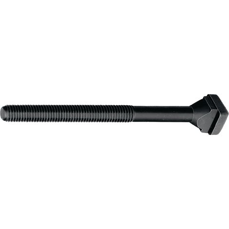 Vis à oreilles DIN 787, T-rail, 18 mm, M16, longueur 160 mm, qualité 8.8 (1/2)